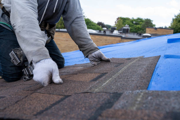 Best Roof Ventilation Installation  in Knoxvle, IL