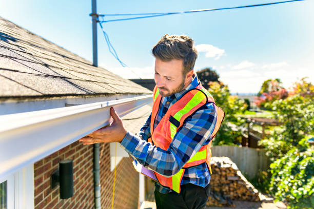 Best Roof Insulation Installation  in Knoxvle, IL