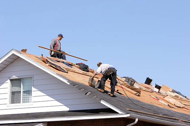 Best Storm Damage Roof Repair  in Knoxvle, IL