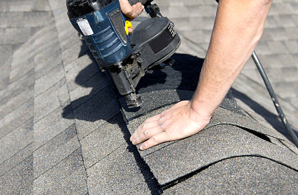 Best Solar Panel Roofing Installation  in Knoxvle, IL