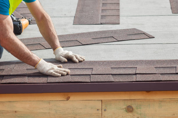 Best Gutter Installation and Repair  in Knoxvle, IL