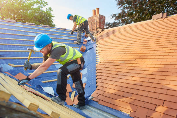 Fast & Reliable Emergency Roof Repairs in Knoxville, IL