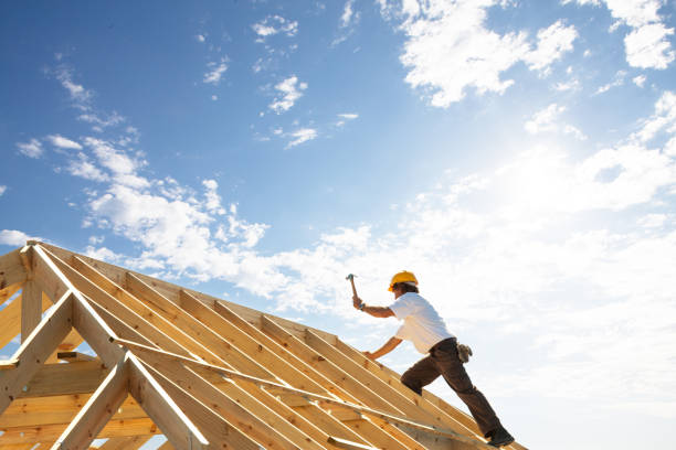 Best Flat Roofing  in Knoxvle, IL